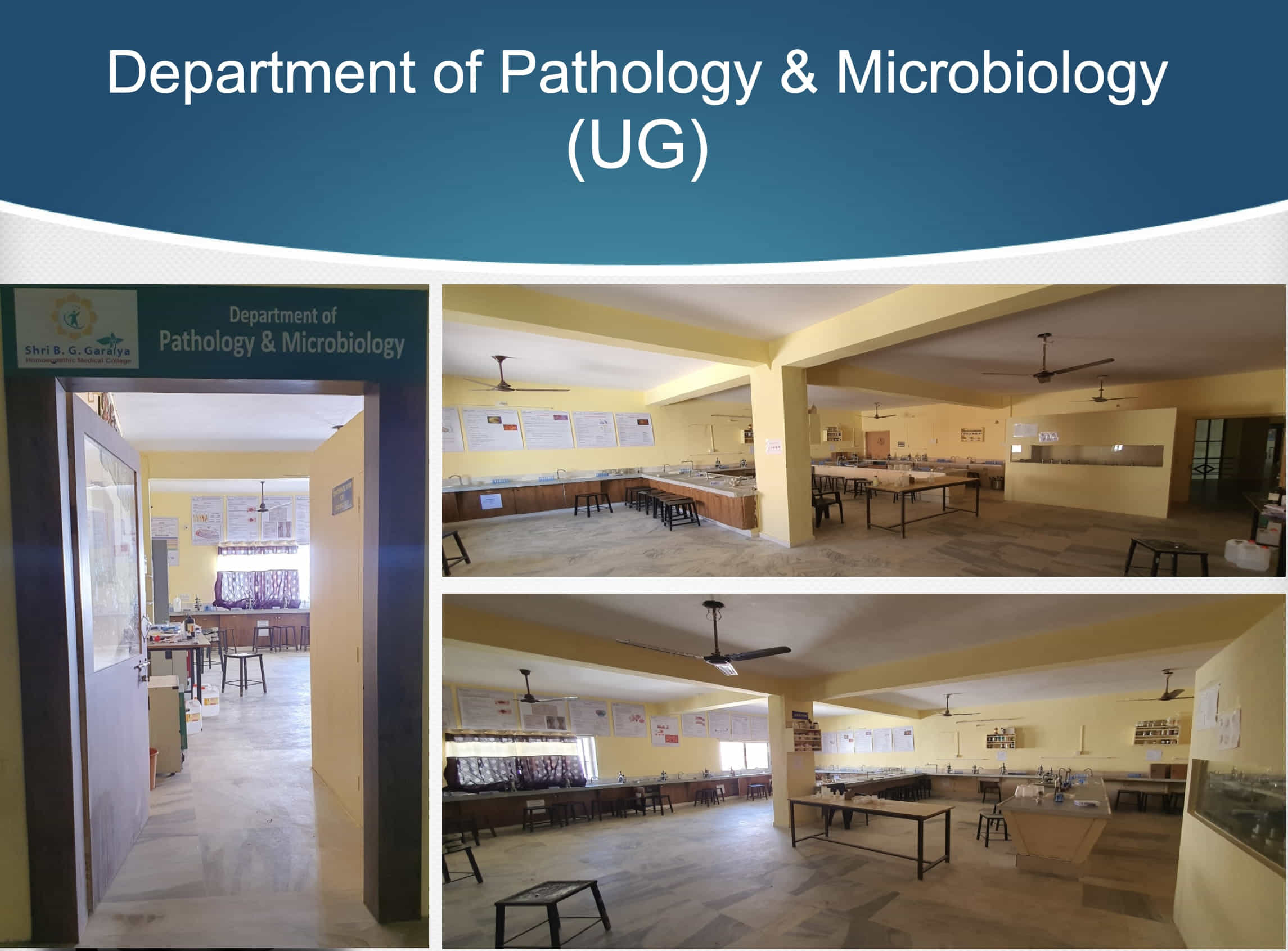 Pathology & Microbiology